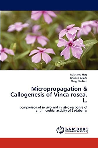 Micropropagation and Callogenesis of Vinca Rosea L