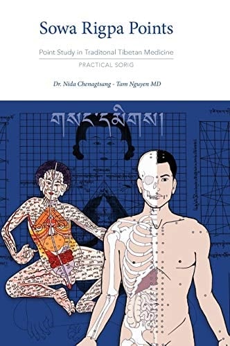 Sowa Rigpa Points Point Study in Traditional Tibetan Medicine