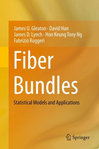 Fiber Bundles
