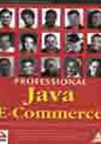 Professional Java E-Commerce (International Edition)