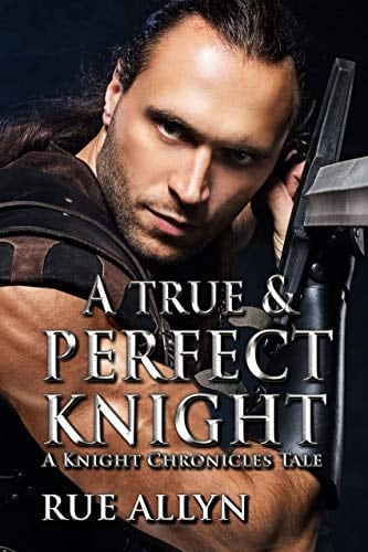 A True and Perfect Knight: A Knight Chronicles Tale