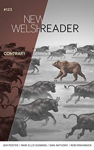 New Welsh Reader: Summer 2020 (New Welsh Review Book 123)