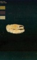 Rox Flux: a Senior Thesis