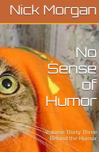 No Sense of Humor: Behind the Humor