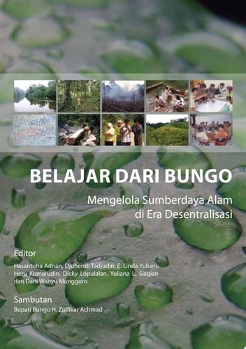 Belajar dari Bungo: mengelola sumberdaya alam di era desentralisasi