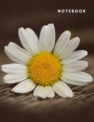 Daisy Notebook: Lined notebook 100 pages 8,5x11 inches Journal notebook
