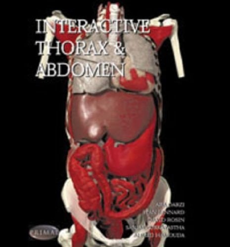 Interactive Thorax and Abdomen