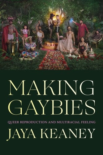 Making Gaybies Queer Reproduction and Multiracial Feeling