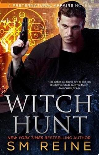 Witch Hunt An Urban Fantasy Mystery