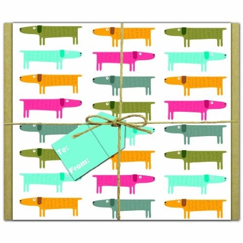 Box of Dogs: Gift-Wrapped GreenNotes -- environmentally friendly Greeting, Invitation & Thank You Cards, 8 Of Each