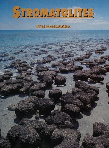 Stromatolites