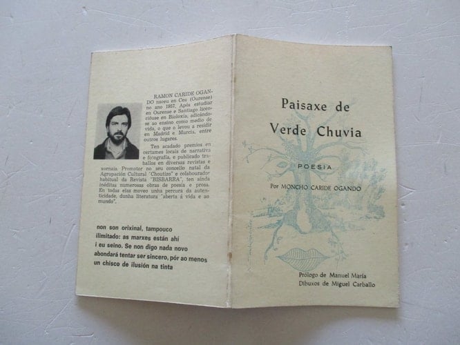 Paisaxe de verde chuvia poesía