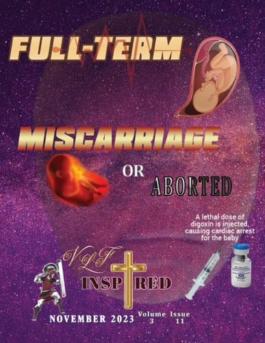 VLF Inspired - Volume 3 - Issue 11: FULL TERM, MISCARRIAGE, OR ABORTED
