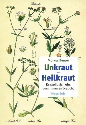Unkraut - Heilkraut Es stellt sich ein, wenn man es braucht