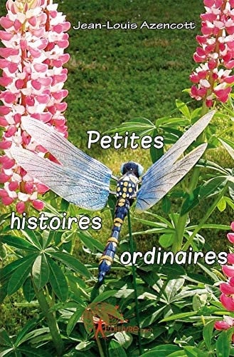 Petites histoires ordinaires