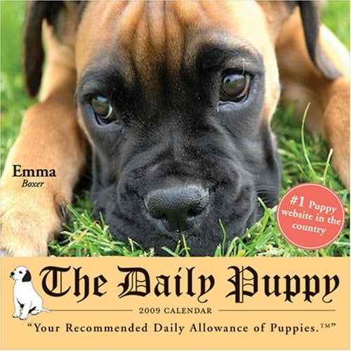 The Daily Puppy 2009