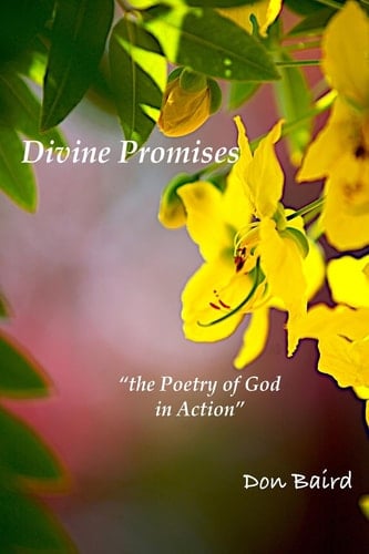 Divine Wisdom The Poetry of God in Action