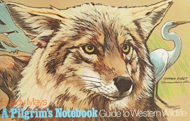A Pilgrim's Notebook Guide to Western Wildlife