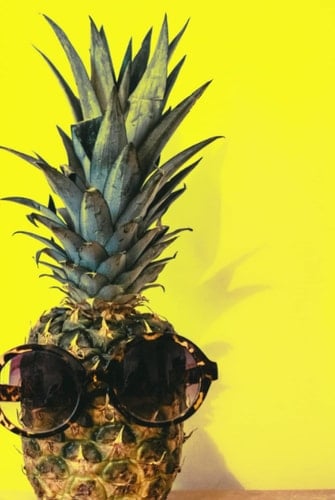 Pineapple Writing Journal