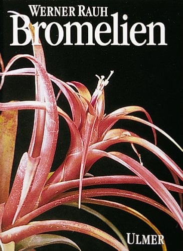 Bromelien Tillandsien und andere kulturwürdige Bromelien