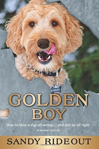 Golden Boy How to Raise a Dog All Wrong ... and End Up All Right - a Memoir (Sort Of)