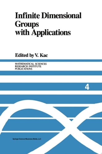 Infinite Dimensional Groups with Applications