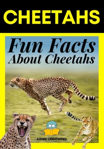 Cheetahs Fun Facts About Cheetahs