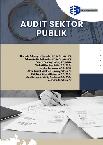 AUDIT SEKTOR PUBLIK