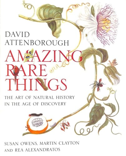 Amazing Rare Things The Art of Natural History in the Age of Discovery