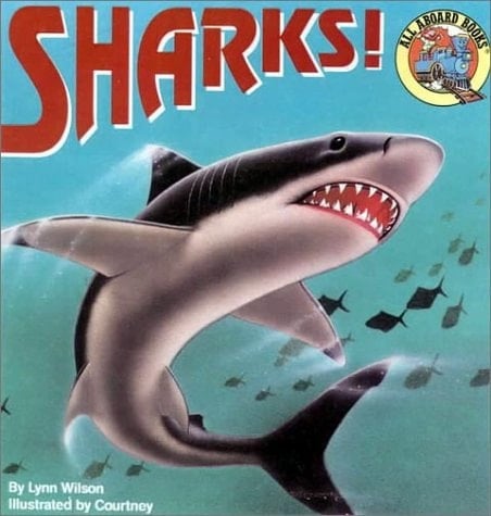 Sharks!