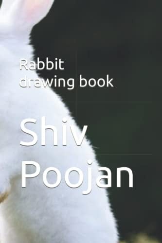 Rabbit drawing book