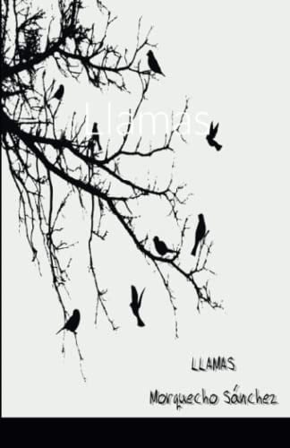 Dylan and His Magical Robot Dyslexic Font