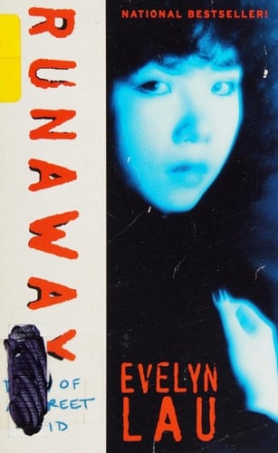 Runaway : Diary of a Street Kid