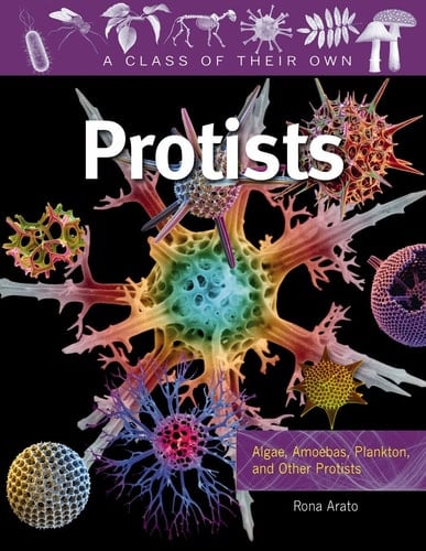 Protists Algae, Amoebas, Plankton, and Other Protists