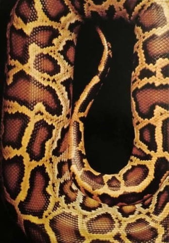 Art Directors' Index to Photographers, [1975] : No.4