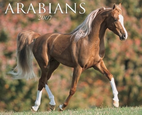 Arabians 2007 Calendar