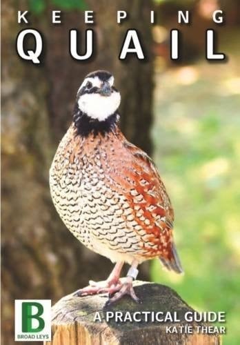 Keeping Quail A Practical Guide