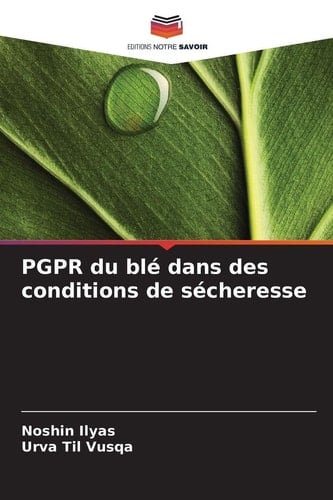 PGPR du blé dans des conditions de sécheresse