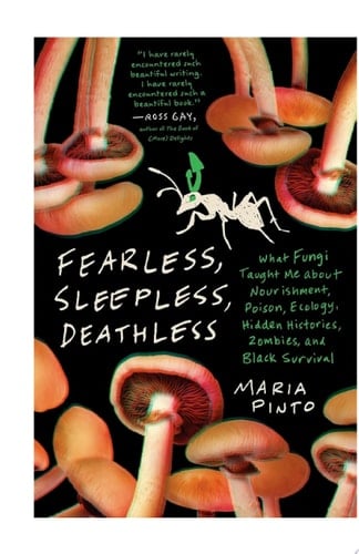 Fearless, Sleepless, Deathless