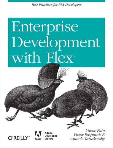 Enterprise Development with Flex: Best Practices for RIA Developers