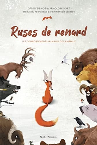 Ruses de renard les comportements humains des animaux