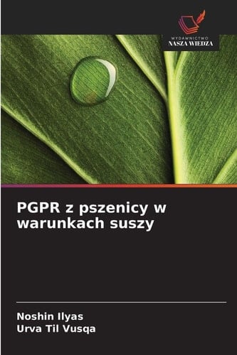 PGPR z pszenicy w warunkach suszy