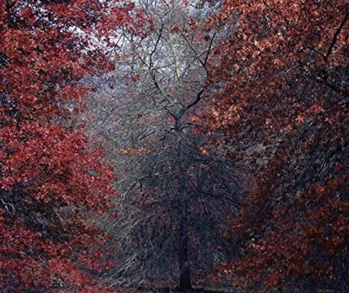 New Work - 2018-2019