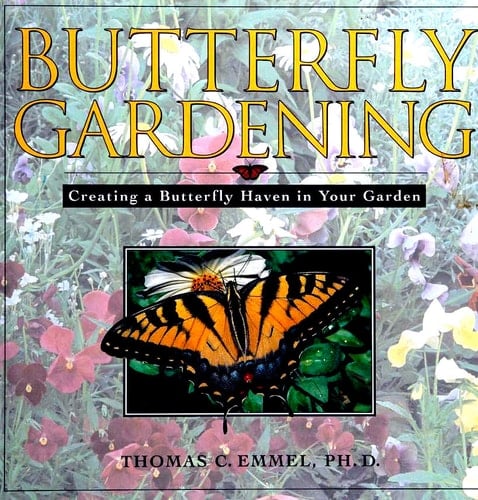 Butterfly Gardening Creating a Butterfly Haven in Your Garden