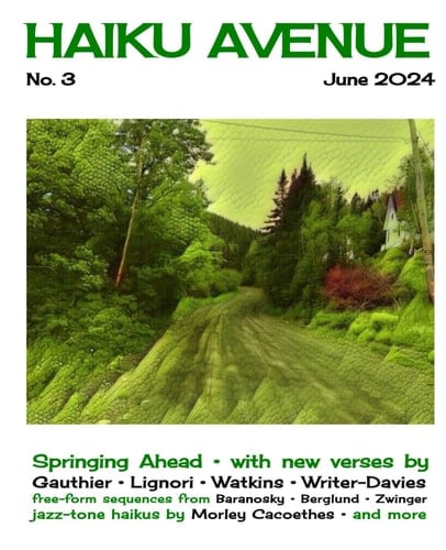HAIKU AVENUE NO. 3