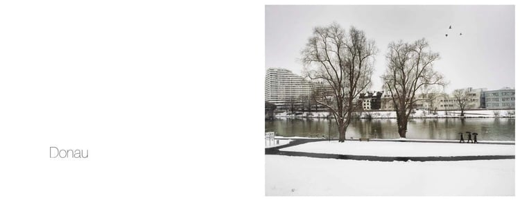 Danubius. Ediz. italiana e inglese