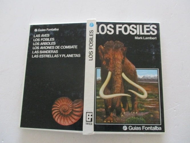 Los Fósiles