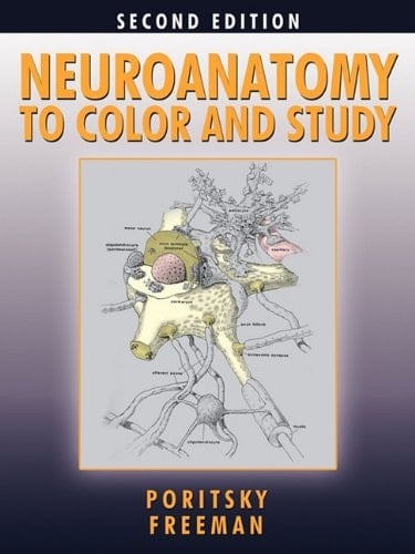 Neuroanatomy to Color and Study