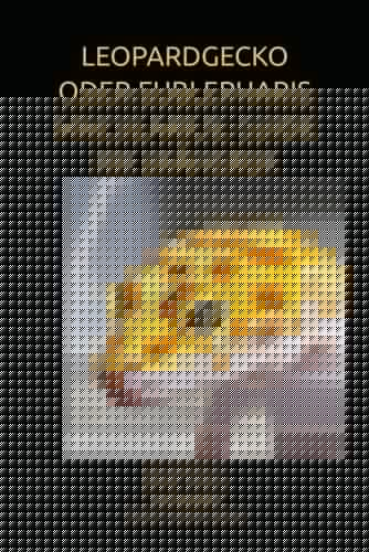 LEOPARDGECKO ODER EUBLEPHARIS MACULARIUS: GUIDE FIR UFÄNGFER (Luxembourgish Edition)