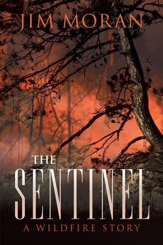 The Sentinel: A Wildfire Story